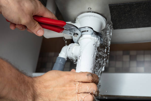 Best Basement water damage restoration  in Chester, VA