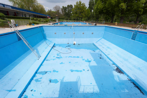 Best Basement water damage restoration  in Chester, VA