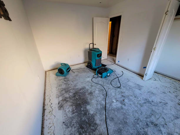 Best Water damage restoration insurance claims  in Chester, VA