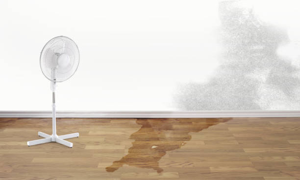 Water damage restoration insurance claims in VA