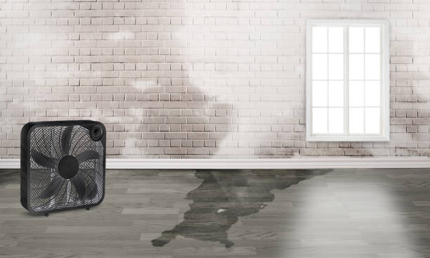 Best Commercial water damage restoration  in Chester, VA