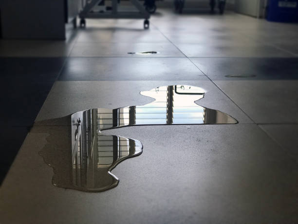 Best Water damage cleanup near me  in Chester, VA