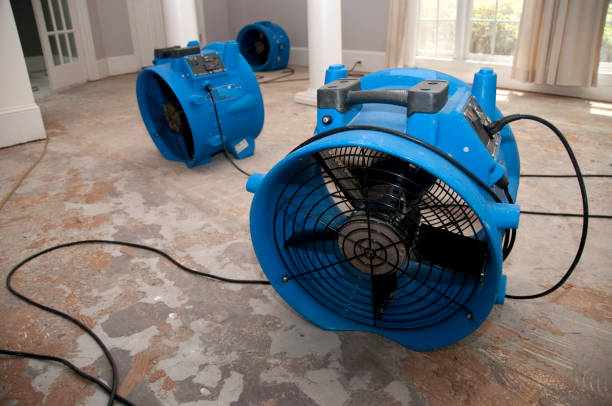 Best Water damage restoration near me  in Chester, VA