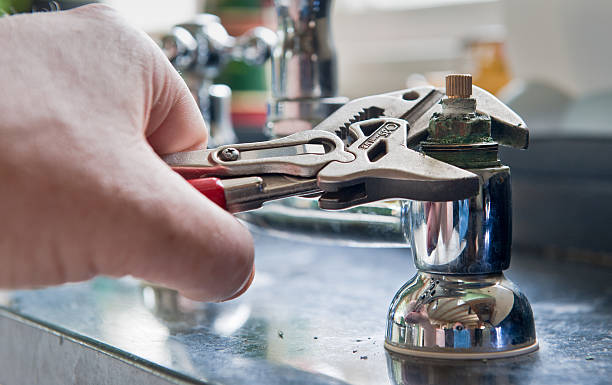 Best Professional water damage repair  in Chester, VA
