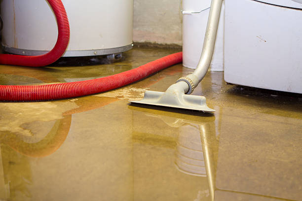 Best Flood damage cleanup  in Chester, VA