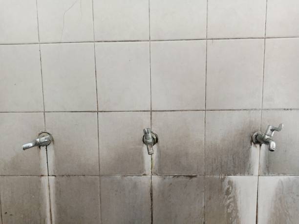 Best 24/7 water damage repair  in Chester, VA