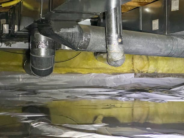  Chester, VA Water damage restoration Pros