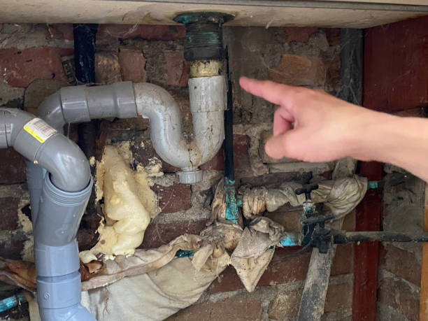 Best Flood restoration services  in Chester, VA